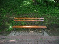 wooden bench at the edge of a walkway in a park