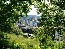 View of green and city