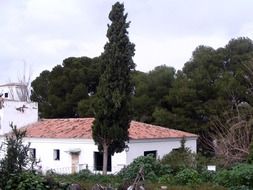 abandoned house