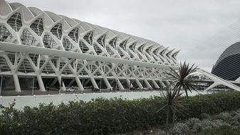 facade of city of arts and sciences in valencia