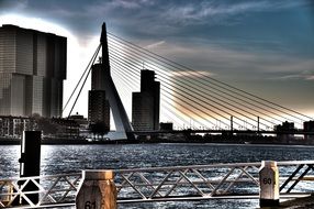 wire cable suspension bridge in rotterdam in the evening