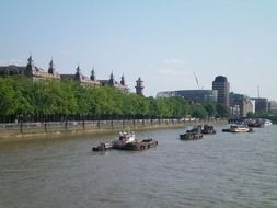 vessels on the River Thames and the trees on the embankment, london