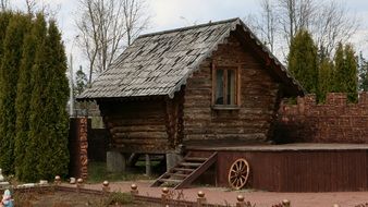 Wooden house near the trees