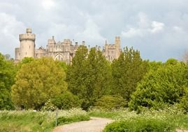 distant view of arundel castle among the trees