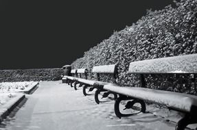 benches in snow