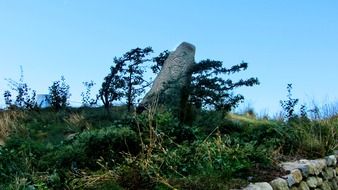 Irish Famine Memorial among Green Grass
