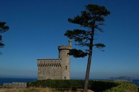 ancient castle near the sea and a lonely tree