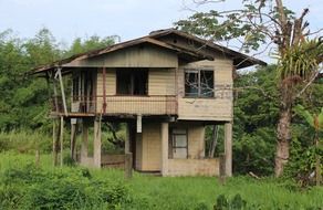 old house among nature