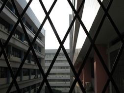 panorama of city buildings through the bars