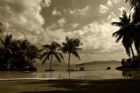 Black and white photo of nature and house