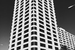 black and white skyscraper