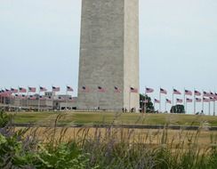 Flags and monument in Washington