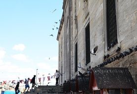 lot of pigeons at entrance to mosque