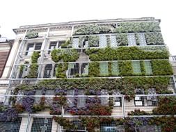 Building with colorful plants on the walls in Copenhagen,Denmark