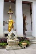 thailand gold statue