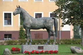 the statue of the horse