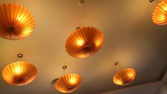 chandeliers in the shape of shells