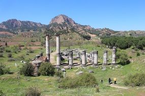 ruins of a temple complex amidst nature