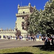 flowering tree in front of tower of belem lisbon