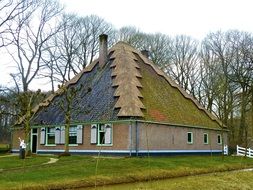hut with a huge roof