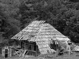 ruined wooden house at forest