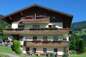 alpine house in austria