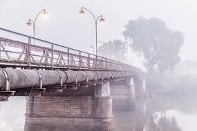 photo of a city bridge in the fog