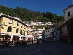 houses near green trees