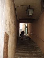 pensioner climbs the stairs in italy