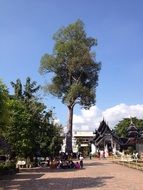 square in front of buddist temple in the city of chiang mai