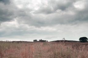 Landscape of the field