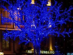 Blue Christmas Tree In France