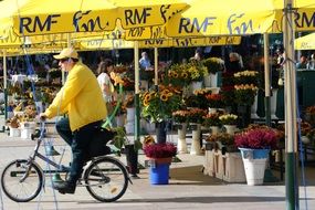 Flower seller on a city Square