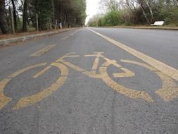 cycle path in the city