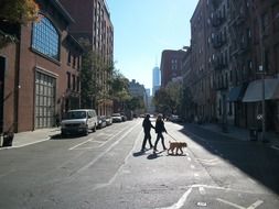 people with a dog on a city street in America