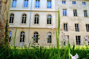 architecture building avignon in provence