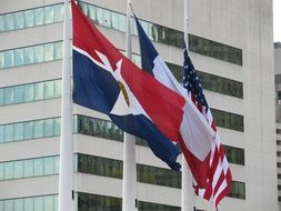 flags waving near city hall patriotic scene