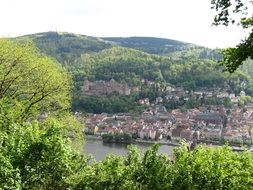 A panorama of Heidelberg amid the picturesque nature