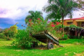 nature landscape costa beauty