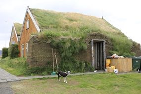 turf houses in Iceland