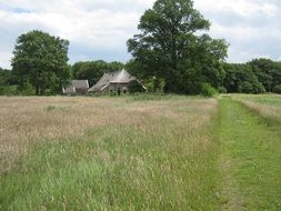 small house in the field