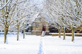 snowy trees in front of a church in North Yokshire, England
