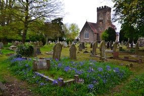 ancient castle and old graves