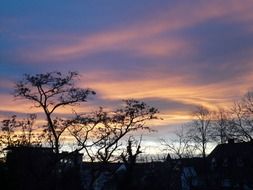 sunset sky above dark trees and buildings