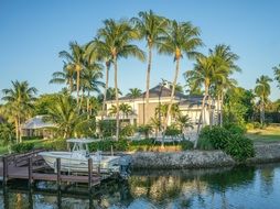 tropical landscape of Florida