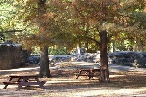 park benches in newyork