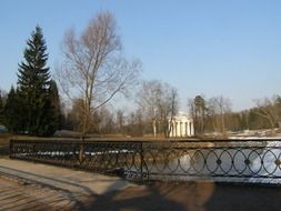 lake in the park early at spring