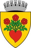 bright city emblem in romania