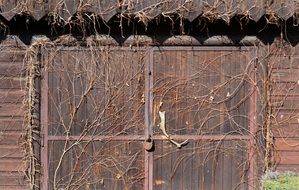 overgrown wooden doors in slovakia