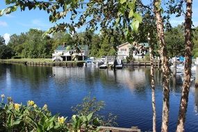 lake trees Conway, South Carolina